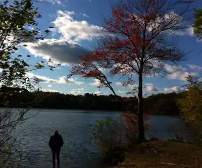 Auburndale Park hiking trail - natural landscape