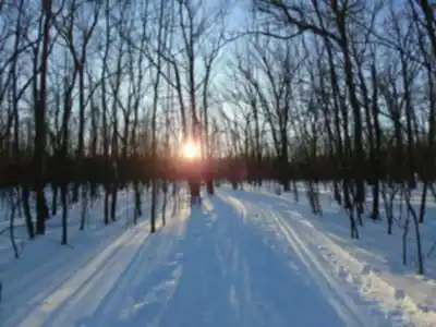 Découvrir Parc Michel-Chartrand en Montérégie