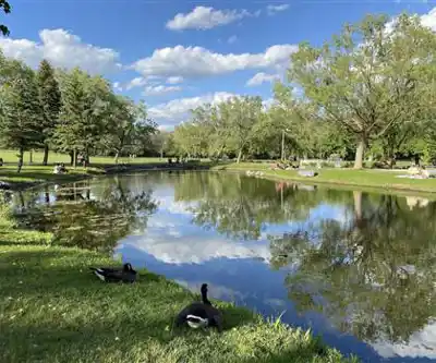 Balade en nature à Parc Michel-Chartrand