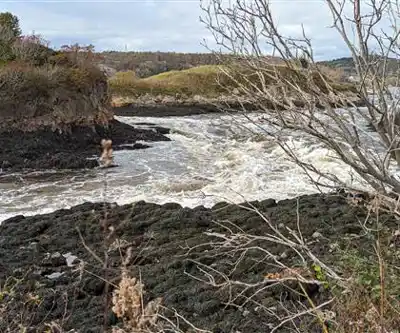 Discover Irving Nature Park in Fundy Coast