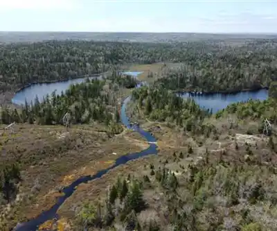 Sentier de randonnée Hobsons Lake Trail - paysage naturel