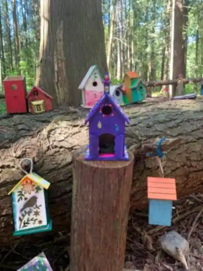 Randonnée Redwood Park Fairy Forest - nature et plein air