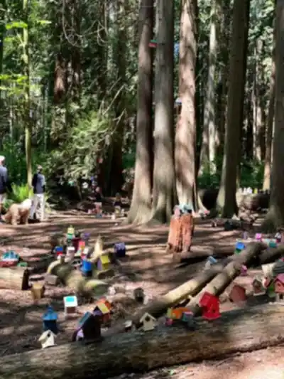 Découvrir Redwood Park Fairy Forest en Montagnes Côtières de Vancouver
