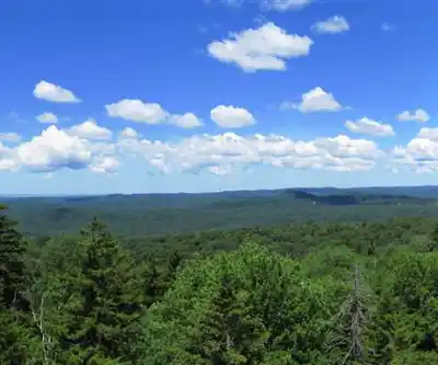 Nicks Lake Campground hiking trail - natural landscape