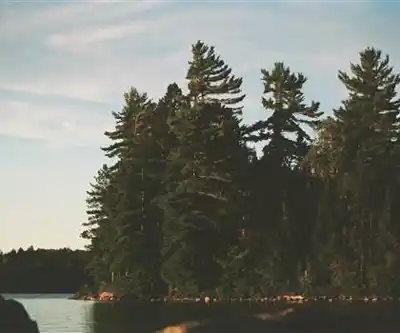 Opeongo Lake hiking trail - natural landscape