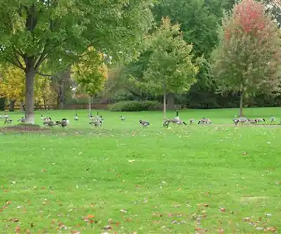 Etobicoke Valley Park hiking trail - natural landscape