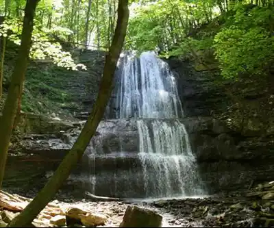Sherman Falls hiking trail - natural landscape