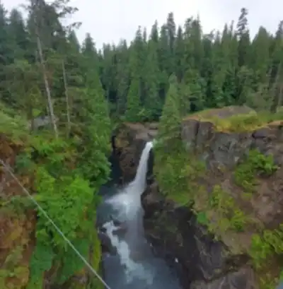 Sentier de randonnée Elk Falls Provincial Park and Protected Area - paysage naturel