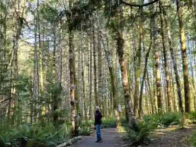 Explorer le sentier Elk Falls Provincial Park and Protected Area