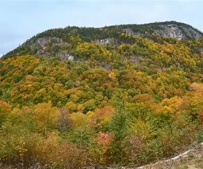 Royce Mt. Trailhead hiking trail - natural landscape