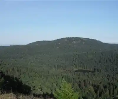 Mount Work hiking trail - natural landscape