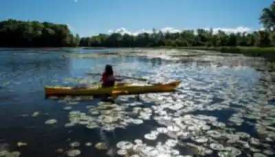 Sentier de randonnée Parc de la Rivière-des-Mille-Îles - paysage naturel