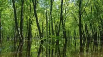 Découvrir Parc de la Rivière-des-Mille-Îles en Laval
