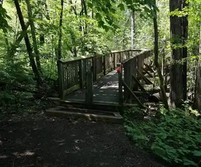 Balade en nature à Parc de la Rivière-des-Mille-Îles