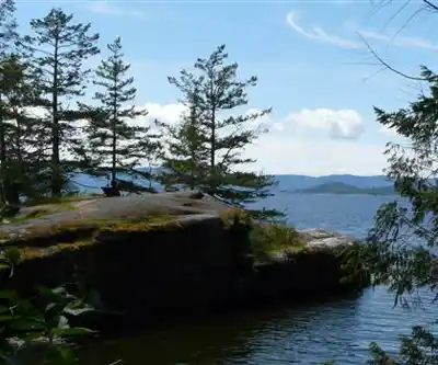 Sentier de randonnée Mermaid Cove, Saltery Bay Provincial Park - paysage naturel