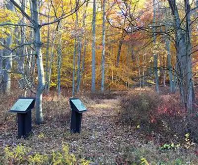 Morristown National Historical Park hiking trail - natural landscape