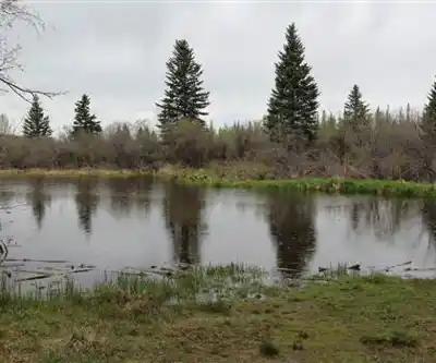 Griffith Woods Park hiking trail - natural landscape