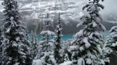 Découvrir Peyto Lake en Canadian Rockies