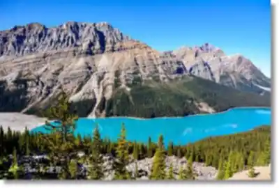 Sentier de randonnée Peyto Lake - paysage naturel