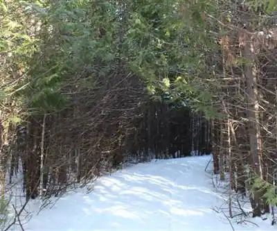 Sentier de randonnée Inverhuron Provincial Park - paysage naturel