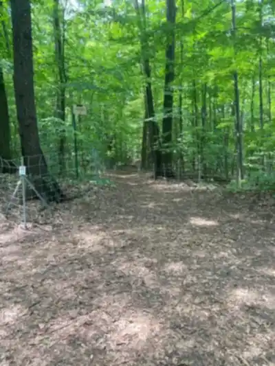 Sentier de randonnée Boisé papineau - paysage naturel