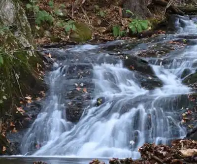 Cranberry Mountain hiking trail - natural landscape