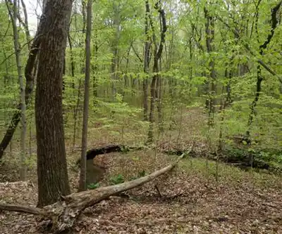 Sentier de randonnée Thompson Park Monroe - paysage naturel