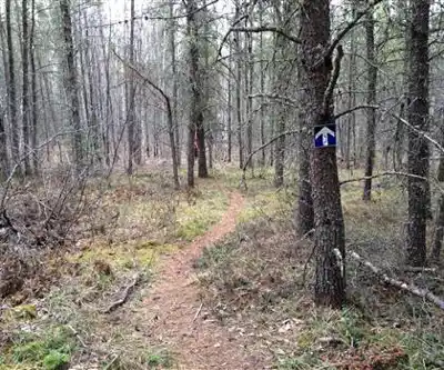Sentier de randonnée Mantario Trail - paysage naturel