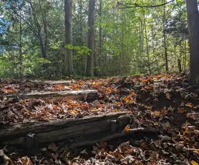 W Humber Trail hiking trail - natural landscape