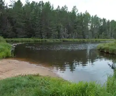 Sentier de randonnée Paint Lake - paysage naturel