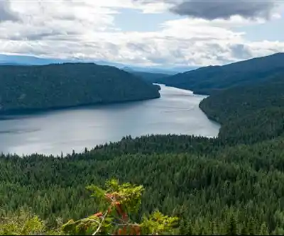 Clearwater Lake hiking trail - natural landscape