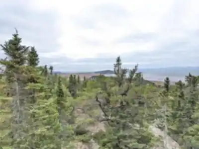 Sentier de randonnée Parc côtier Kiskotuk, secteur des passereaux - paysage naturel