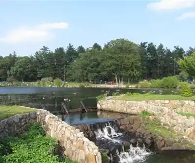 D.W. Field Park hiking trail - natural landscape