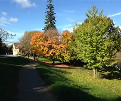 Springbank Park hike - nature and outdoors
