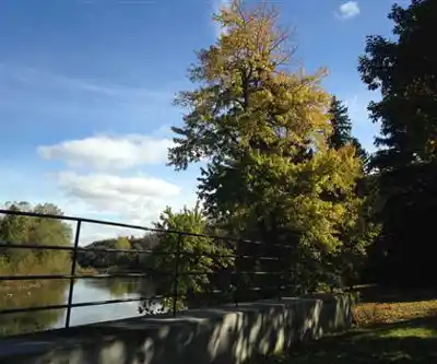 Springbank Park hiking trail - natural landscape