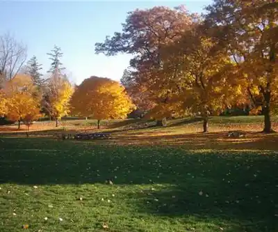 Hiking view of Springbank Park