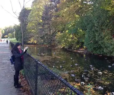 Explore Springbank Park trail