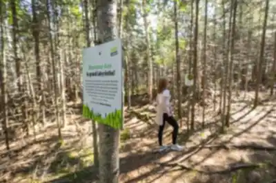 Randonnée Parc-aventure Joannès - nature et plein air