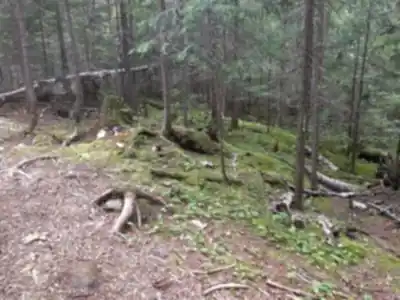 Découvrir Parc-aventure Joannès en Abitibi-Témiscamingue