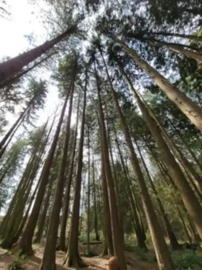 Discover Robert Burnaby Park in Vancouver Coast Mountains
