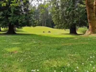 Robert Burnaby Park hiking trail - natural landscape