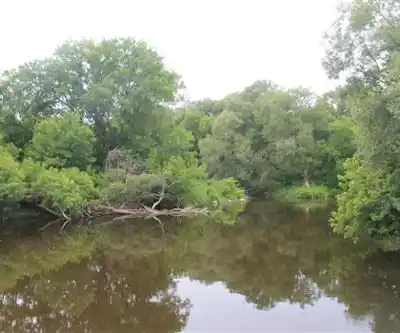Lakeview Wildlife Management Area hiking trail - natural landscape