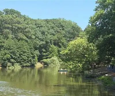 Clove Lakes Park hiking trail - natural landscape