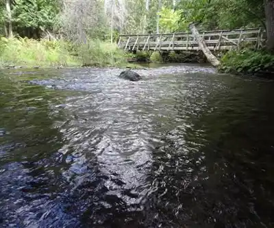 Boyne Valley Provincial Park hiking trail - natural landscape