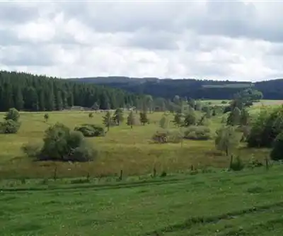 Parc naturel régional de Millevaches en Limousin hiking trail - natural landscape