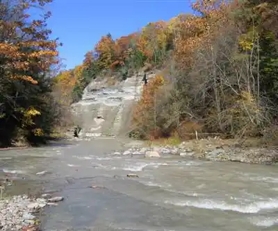Deer Lick Conservation Area hiking trail - natural landscape