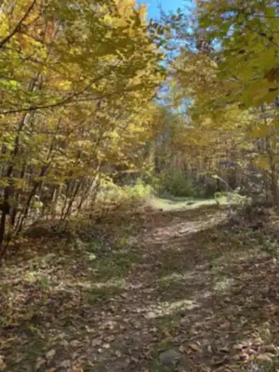 Discover Parc de la Source in Laurentides