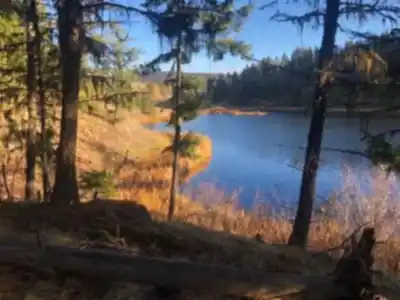 Sentier de randonnée Logan Lake - paysage naturel