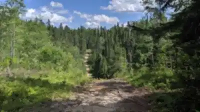 Camp Dudemaine hike - nature and outdoors