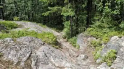 Discover Camp Dudemaine in Abitibi-Témiscamingue